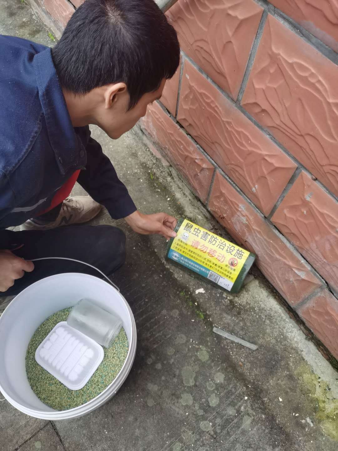 泸州除四害